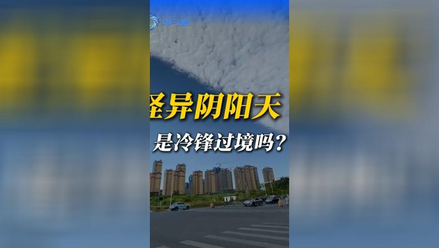 开年首月我国CPI走势向好,新澳历史开奖最新结果查询今天直播,典故解疑_钻石版V7.37