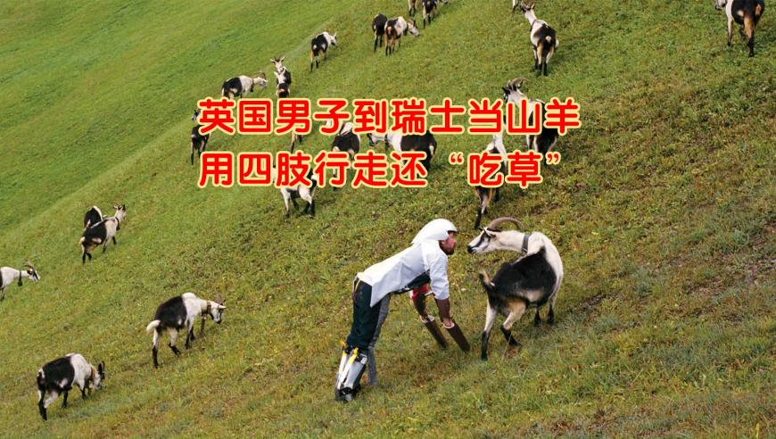 二四六天天好彩308kcom,缅甸妙瓦底电诈园39名中国人被解救,广泛的解释落实方法分析_标配版V12.72