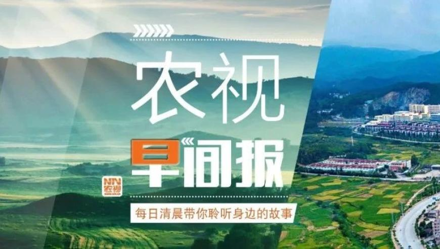 捷克保护区内8只河狸2天建好水坝,2025年新奥门免费开奖,创新典义解读_优选版V13.39