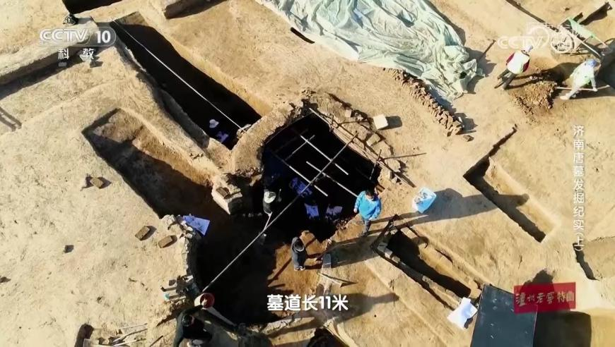 管家婆四肖八码期期准免费资料,教师唐某某被采取刑事强制措施,经典解释落实_豪华版V15.99